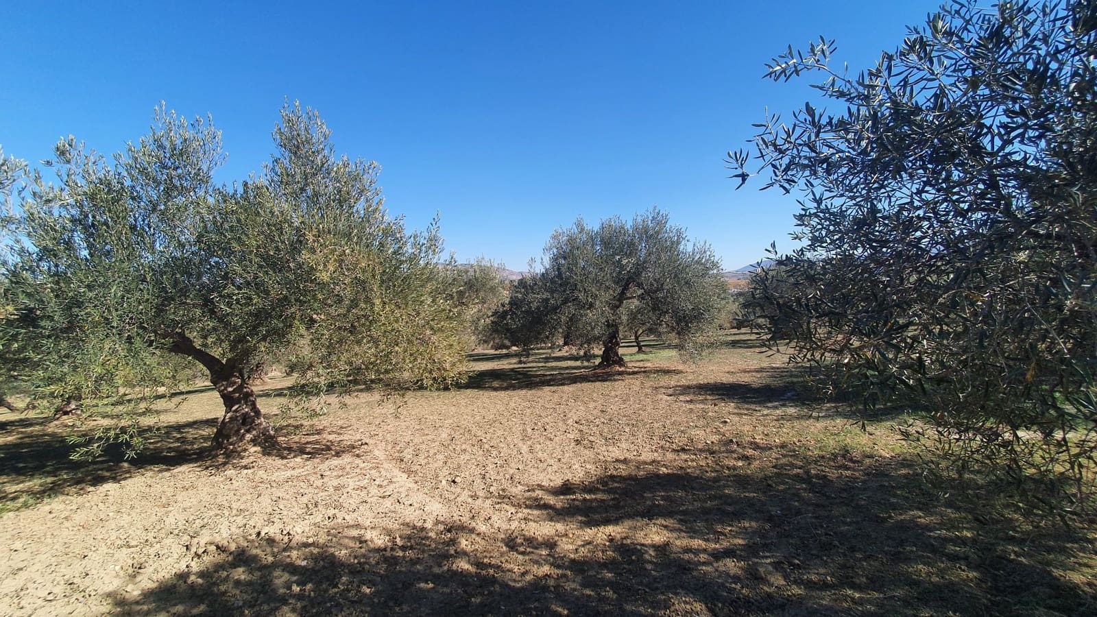 Grond te koop in Alhaurin el Grande - € 85.000 (Ref: 7935471)
