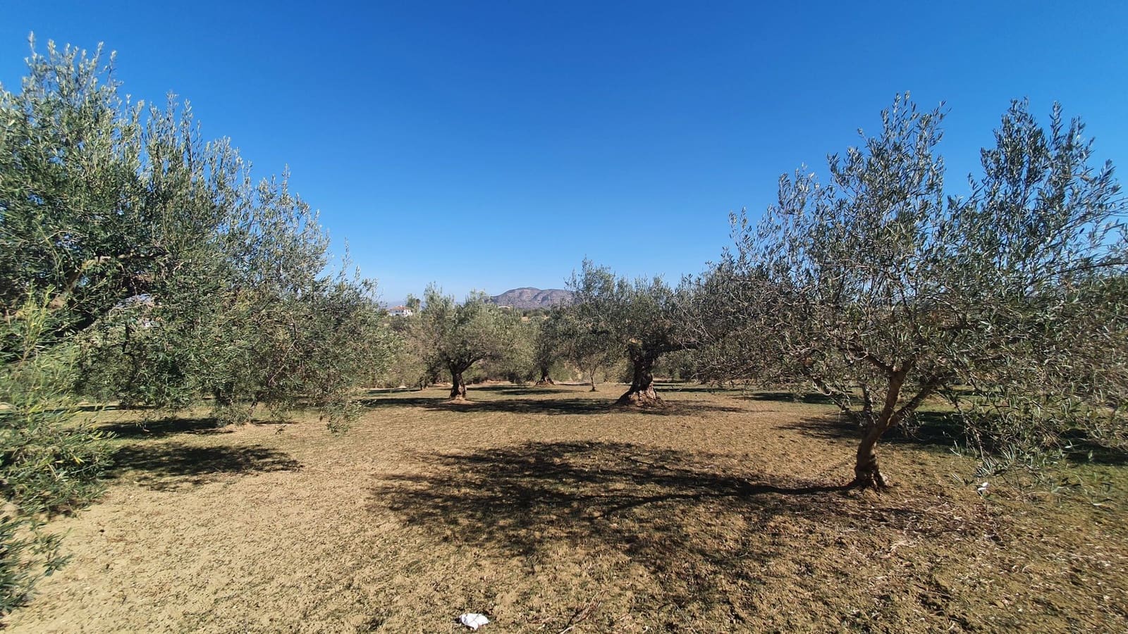 Grond te koop in Alhaurin el Grande - € 85.000 (Ref: 7935471)