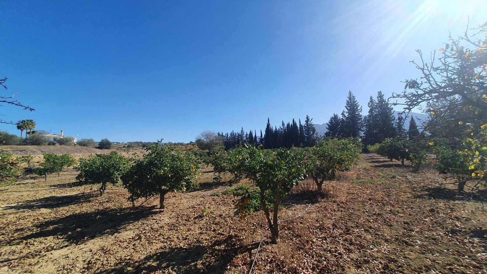 Grunde uden byggetilladelser til salg i Alhaurin el Grande - € 185.000 (Ref: 7935472)