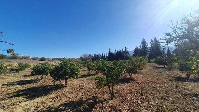Undeveloped Land for sale in Alhaurín el Grande - € 185,000 (Ref: 7935472)