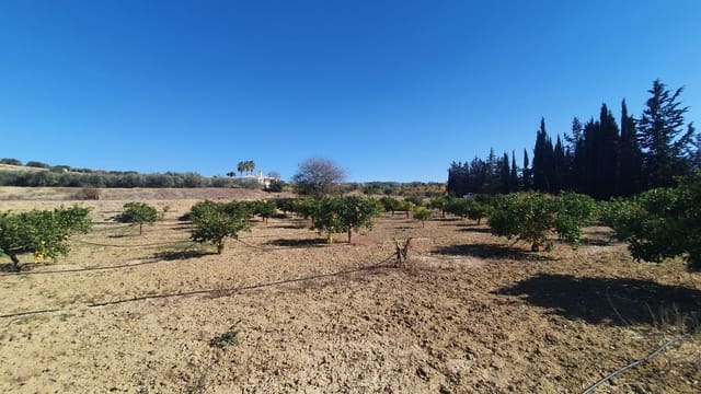 Undeveloped Land for sale in Alhaurín el Grande - € 185,000 (Ref: 7935472)