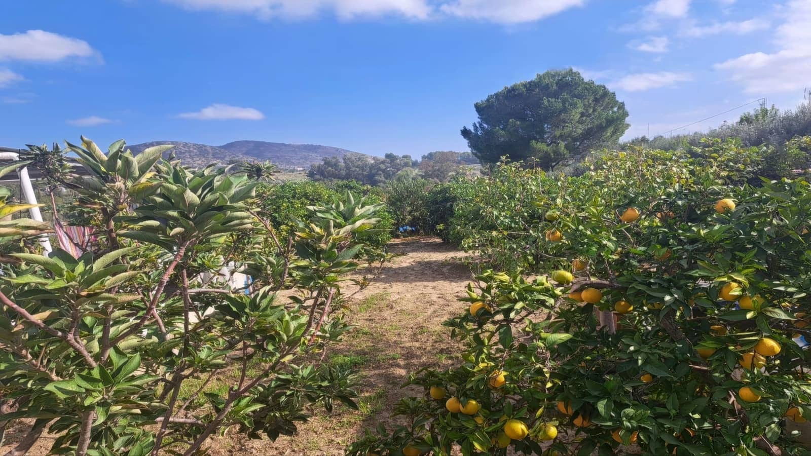 4 slaapkamer Finca/Landhuis te koop in Alhaurin el Grande met zwembad - € 320.000 (Ref: 8625891)