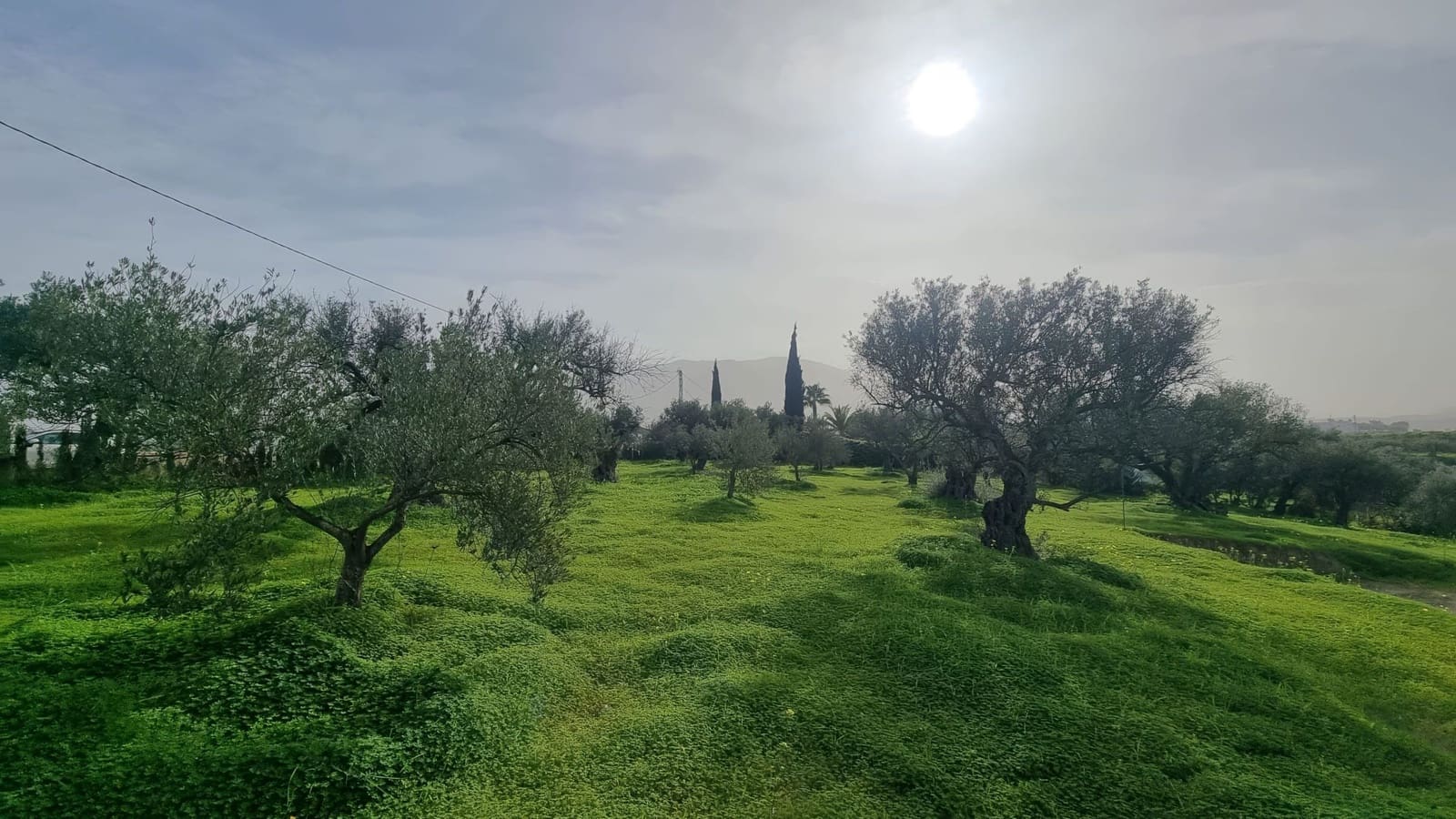 Grond te koop in Alhaurin el Grande - € 235.000 (Ref: 8703329)