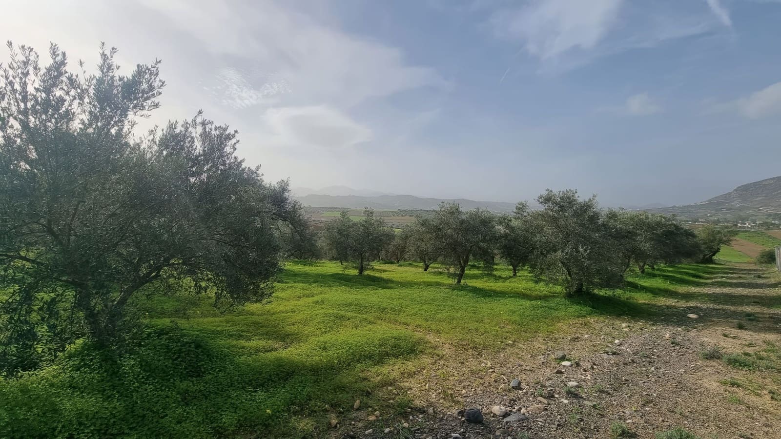 Grond te koop in Alhaurin el Grande - € 235.000 (Ref: 8703329)