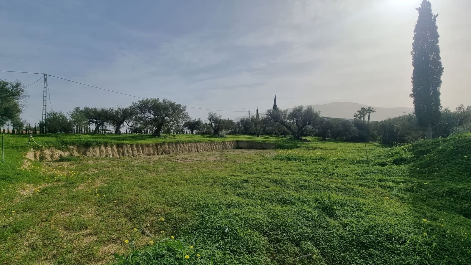 Grond te koop in Alhaurin el Grande - € 235.000 (Ref: 8703329)