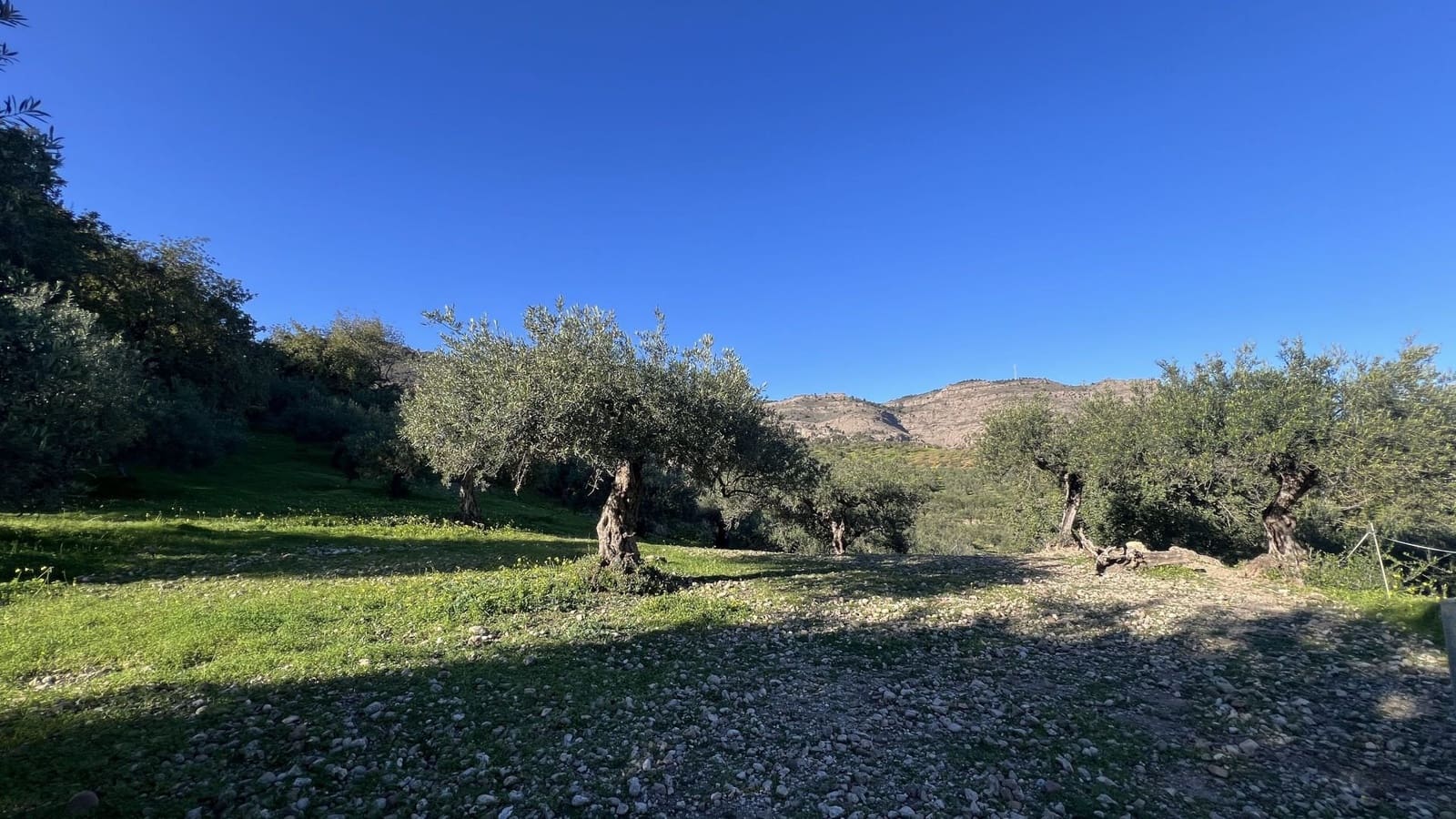 5 slaapkamer Finca/Landhuis te koop in Alora met zwembad - € 695.000 (Ref: 8763183)