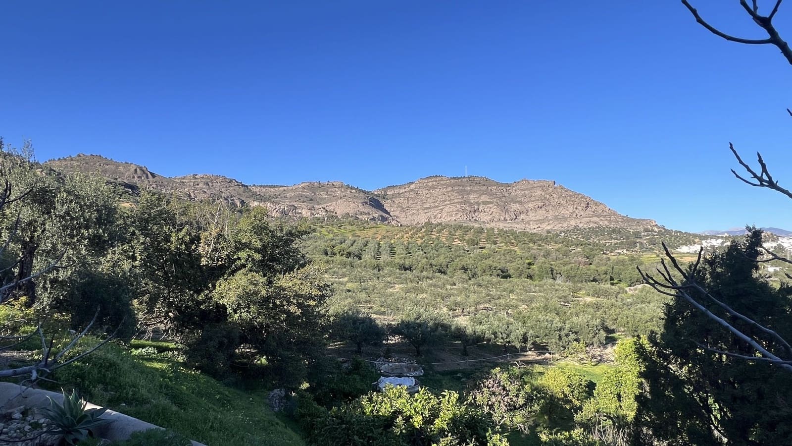 5 slaapkamer Finca/Landhuis te koop in Alora met zwembad - € 695.000 (Ref: 8763183)