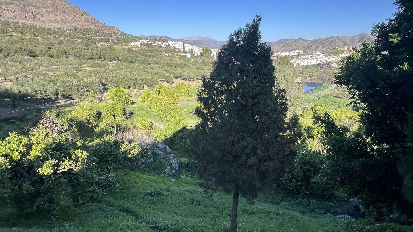 5 slaapkamer Finca/Landhuis te koop in Alora met zwembad - € 695.000 (Ref: 8763183)