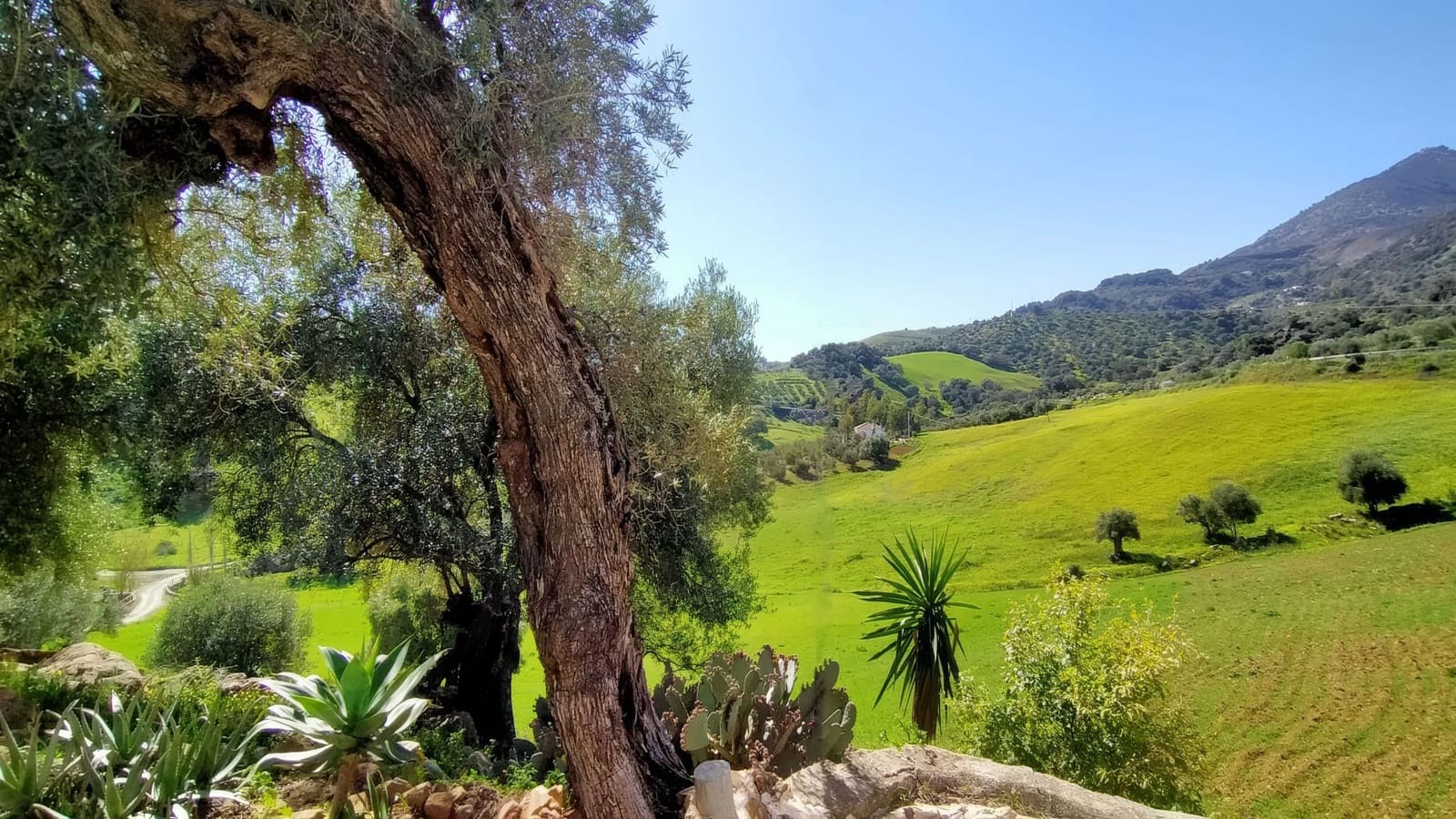 2 slaapkamer Finca/Landhuis te koop in Casarabonela - € 320.000 (Ref: 8868847)