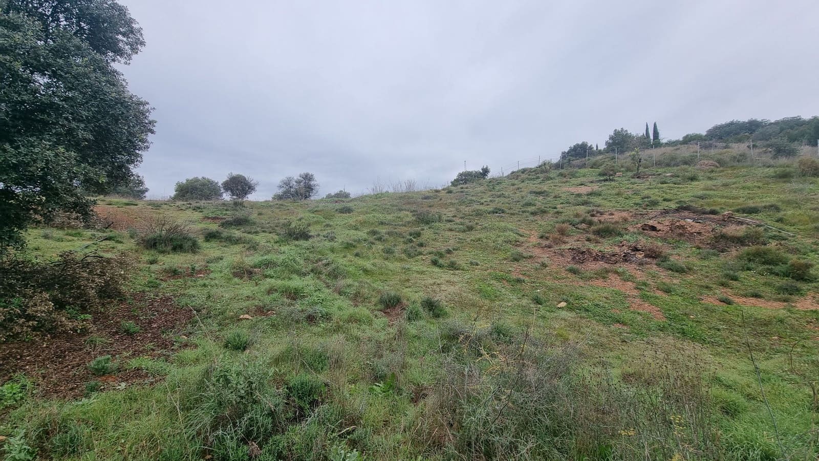 Grunde uden byggetilladelser til salg i Coin - € 160.000 (Ref: 8920942)