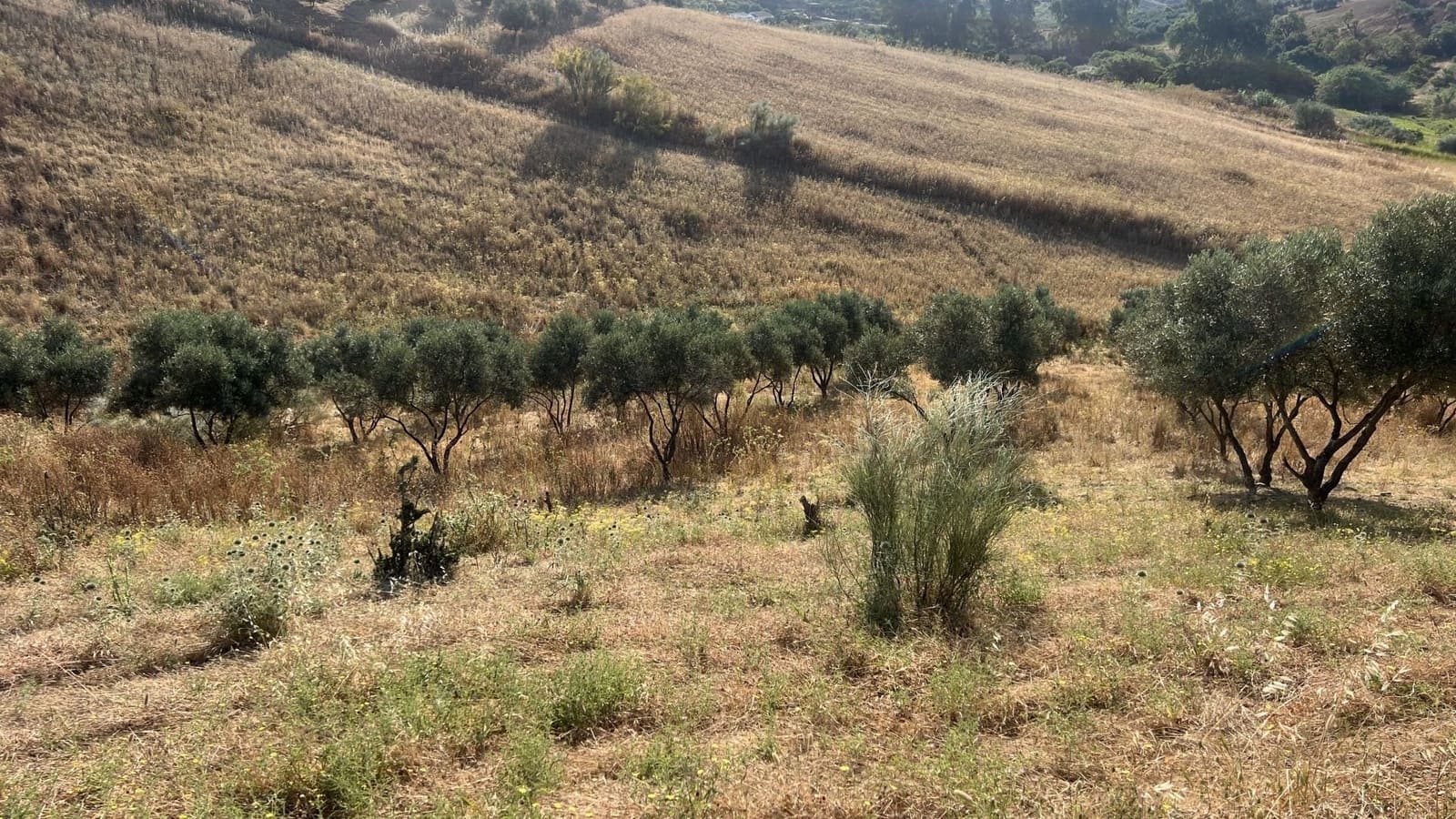 Grunde uden byggetilladelser til salg i Alhaurin de la Torre - € 110.000 (Ref: 9103874)