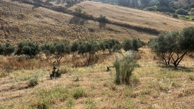 Undeveloped Land for sale in Alhaurín de la Torre - € 110,000 (Ref: 9103874)