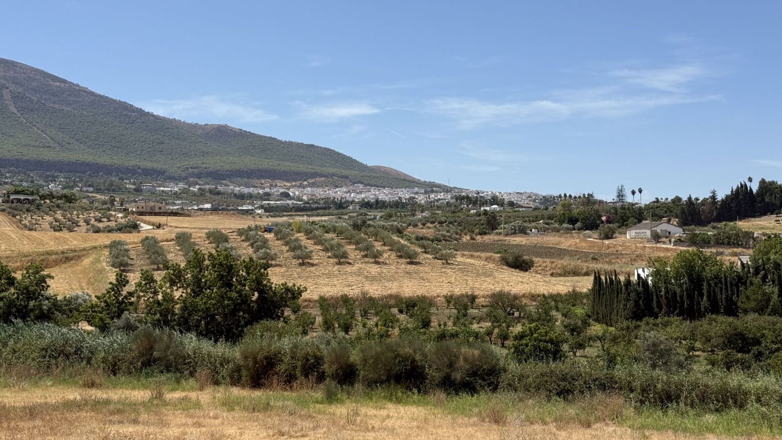 3 slaapkamer Finca/Landhuis te koop in Alhaurin el Grande - € 349.000 (Ref: 9199997)