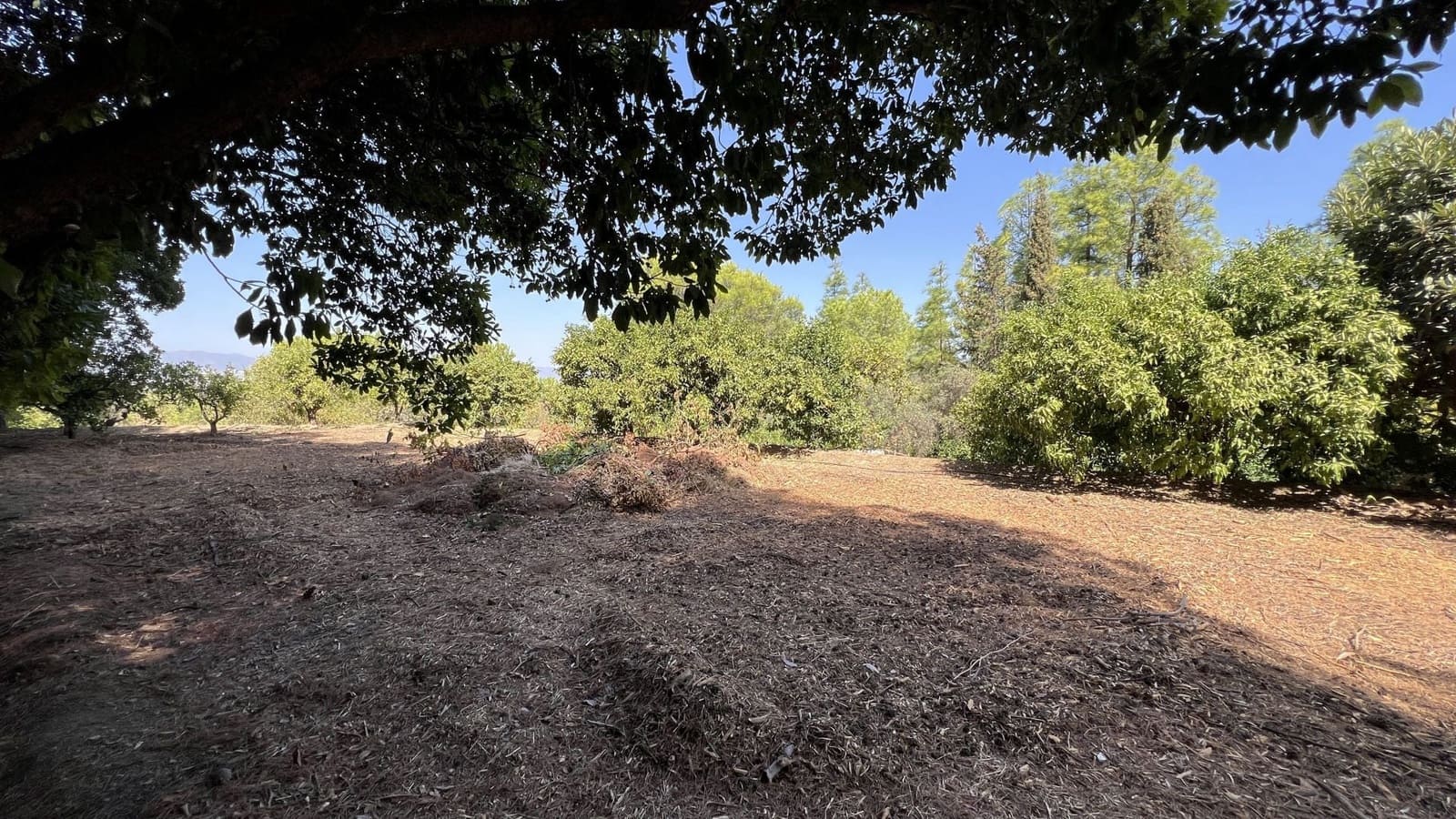 5 slaapkamer Finca/Landhuis te koop in Alhaurin el Grande met zwembad - € 795.000 (Ref: 9439049)