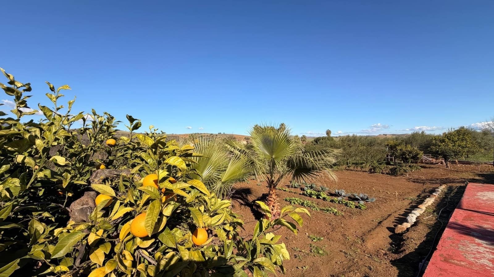 3 chambre Finca/Maison de Campagne à vendre à Coin avec piscine - 495 000 € (Ref: 9469967)