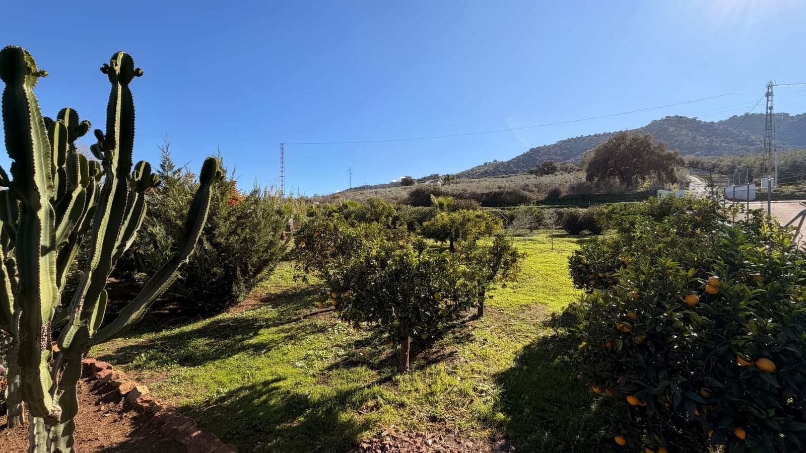 3 bedroom Finca/Country House for sale in Coin with pool - € 495,000 (Ref: 9469967)