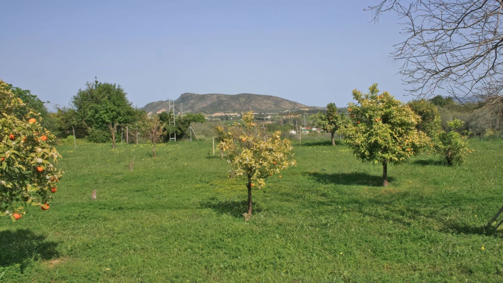 3 chambre Finca/Maison de Campagne à vendre à Alhaurin el Grande avec piscine - 475 000 € (Ref: 9697942)