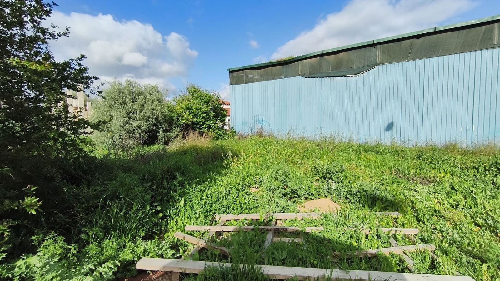 Undeveloped Land for sale in Coin - € 646,969 (Ref: 9726237)