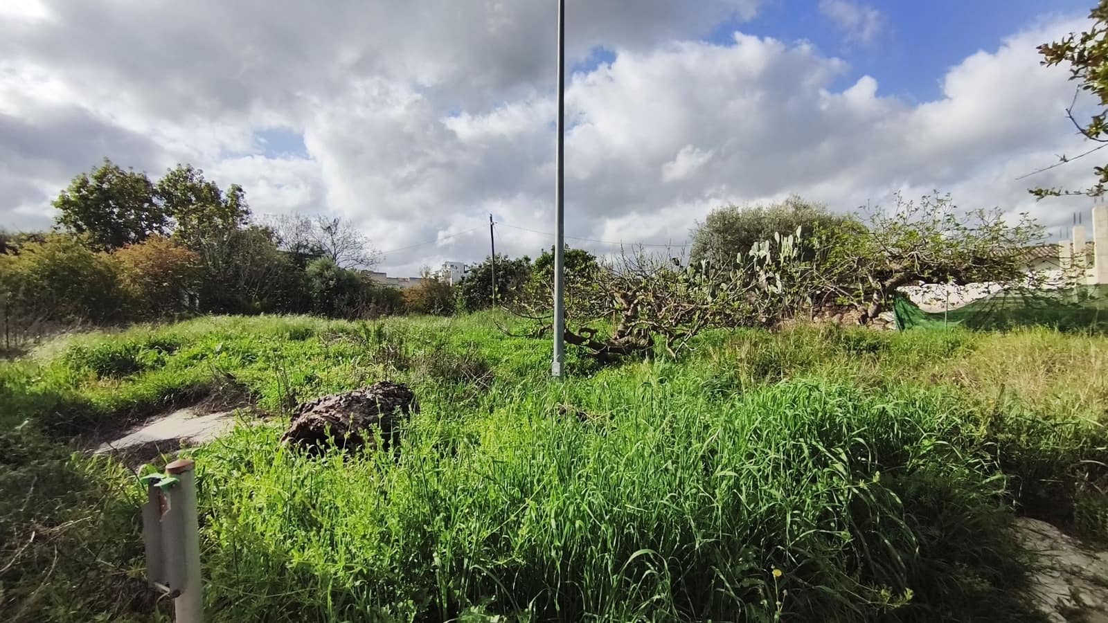 Undeveloped Land for sale in Coin - € 646,969 (Ref: 9726237)