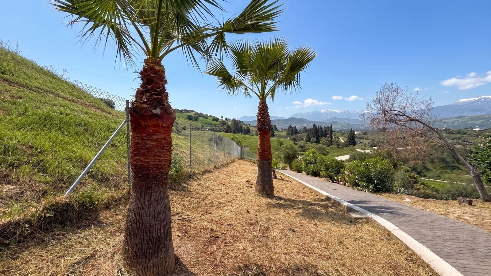 2 makuuhuone Maalaistalo myytävänä paikassa Coin mukana uima-altaan - 365 000 € (Ref: 9807505)