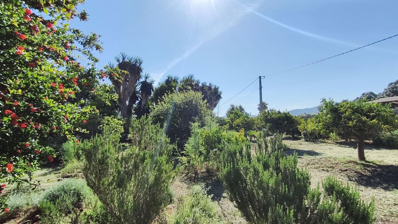 3 slaapkamer Finca/Landhuis te koop in Alhaurin el Grande met zwembad - € 440.000 (Ref: 9874336)