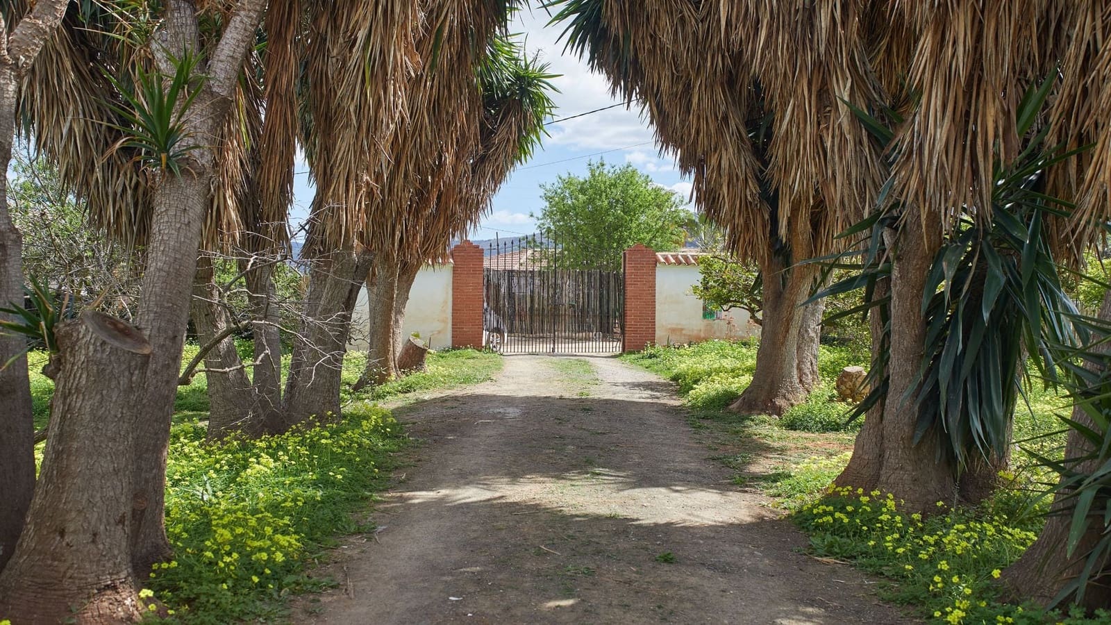 3 slaapkamer Finca/Landhuis te koop in Alhaurin el Grande met zwembad - € 440.000 (Ref: 9874336)