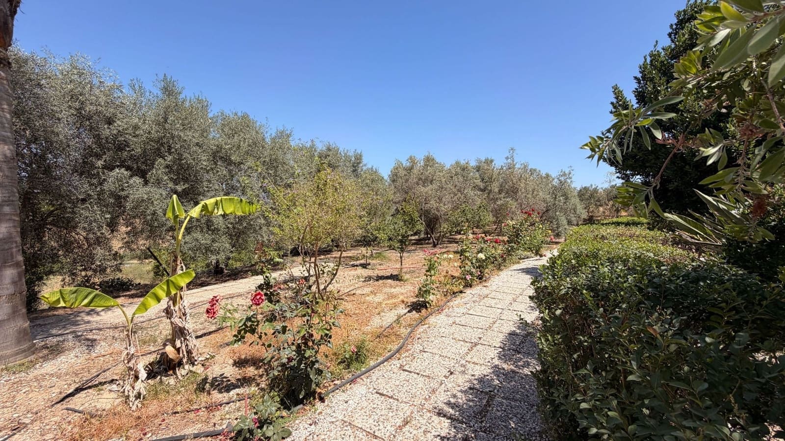 3 camera da letto Finca/Casa di Campagna in vendita in Alhaurin el Grande con piscina - 695.000 € (Rif: 9958706)