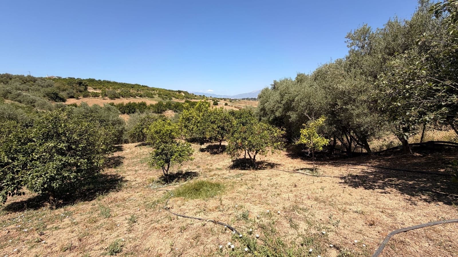 3 camera da letto Finca/Casa di Campagna in vendita in Alhaurin el Grande con piscina - 695.000 € (Rif: 9958706)
