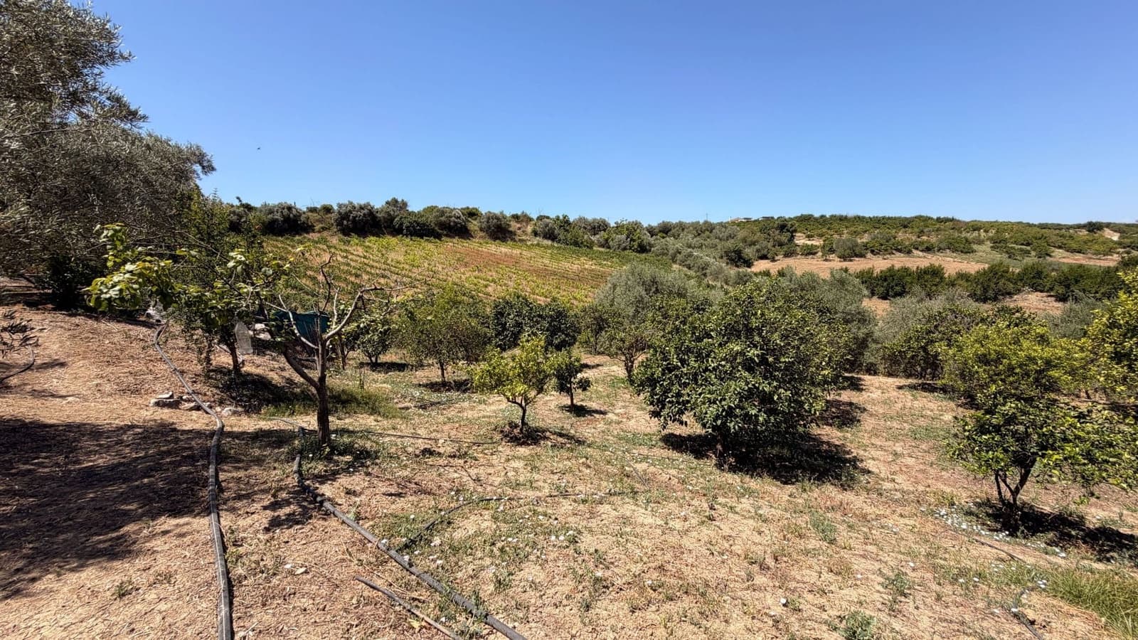 3 camera da letto Finca/Casa di Campagna in vendita in Alhaurin el Grande con piscina - 695.000 € (Rif: 9958706)