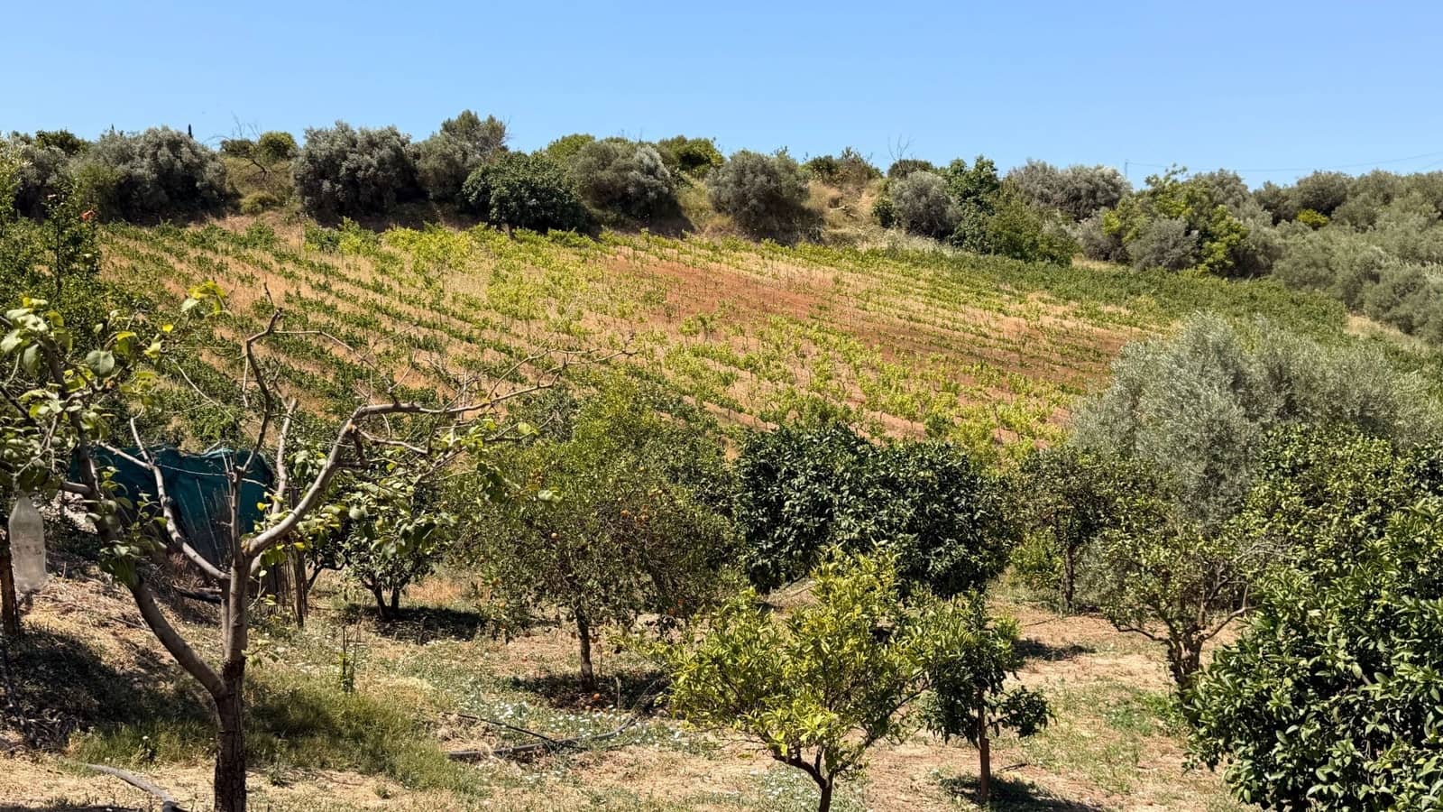 3 camera da letto Finca/Casa di Campagna in vendita in Alhaurin el Grande con piscina - 695.000 € (Rif: 9958706)