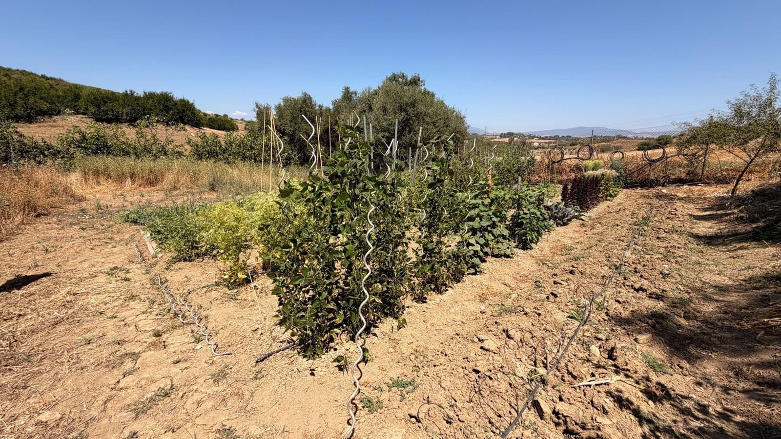 3 camera da letto Finca/Casa di Campagna in vendita in Alhaurin el Grande con piscina - 695.000 € (Rif: 9958706)