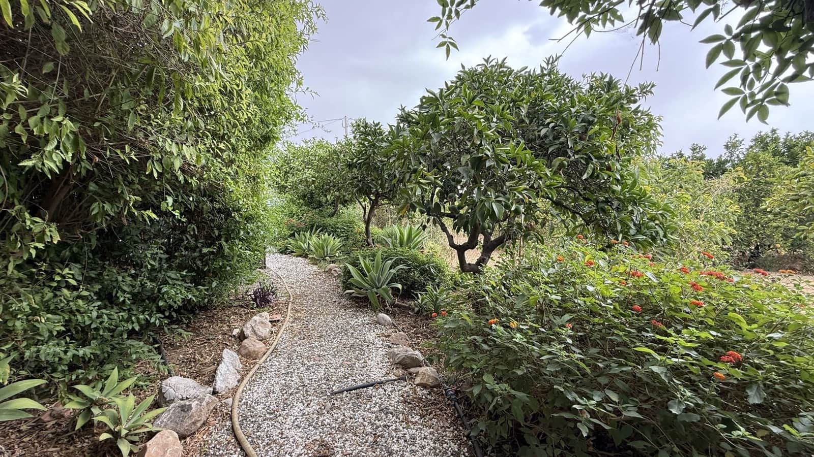 Finca/Casa Rural de 4 habitaciones en Alhaurín el Grande en venta con piscina - 449.995 € (Ref: 9996510)