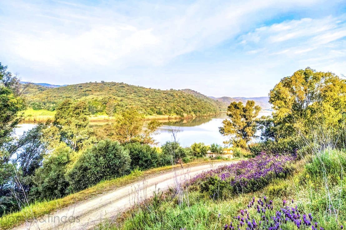 Finca/Maison de Campagne à vendre à Sanlucar de Guadiana - 380 000 € (Ref: 6580997)