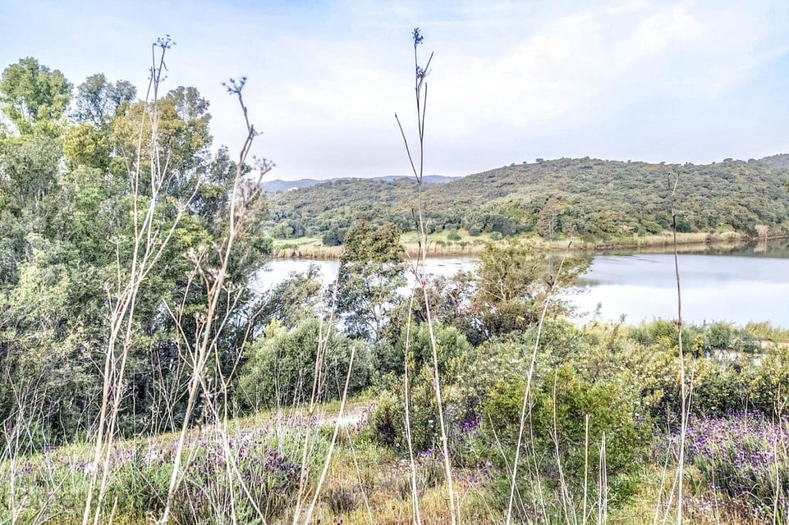 Finca/Maison de Campagne à vendre à Sanlucar de Guadiana - 380 000 € (Ref: 6580997)