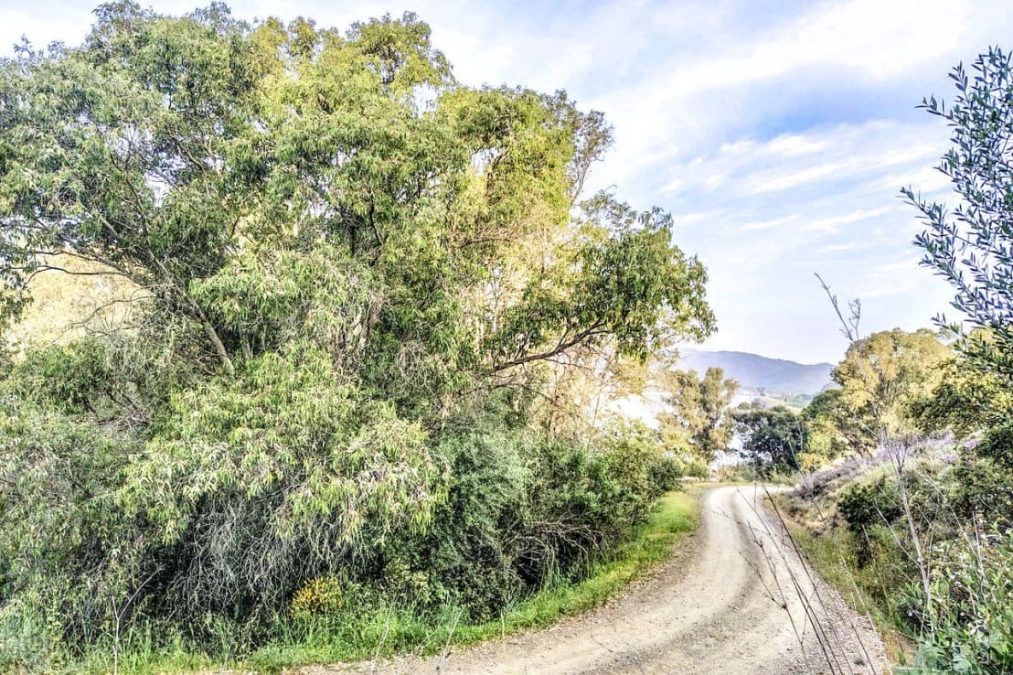 Finca/Maison de Campagne à vendre à Sanlucar de Guadiana - 380 000 € (Ref: 6580997)