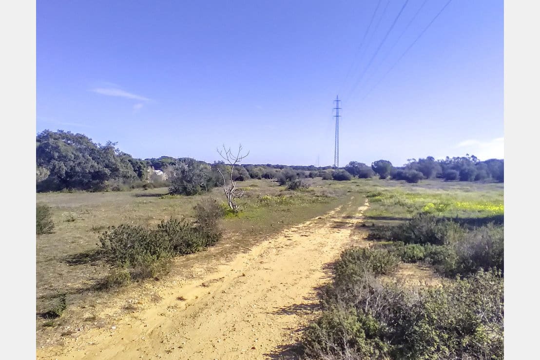 Byggegrund til salg i Villablanca - € 135.000 (Ref: 6680691)