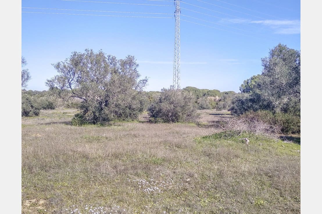 Byggegrund til salg i Villablanca - € 135.000 (Ref: 6680691)