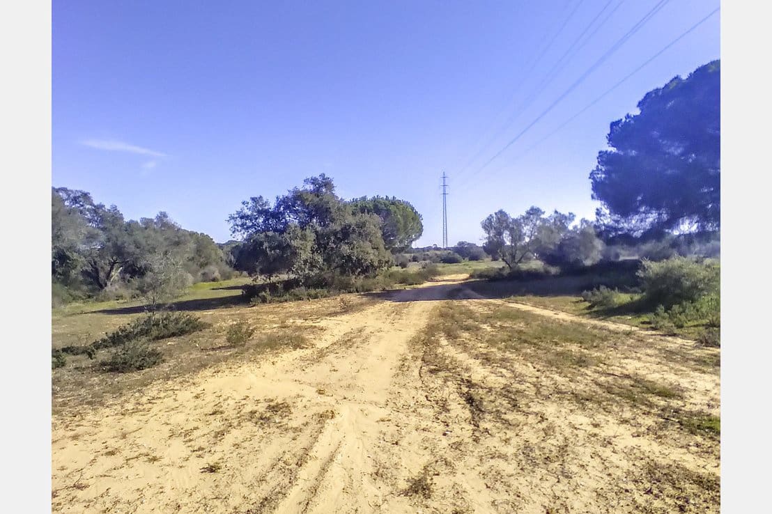 Byggegrund til salg i Villablanca - € 135.000 (Ref: 6680691)