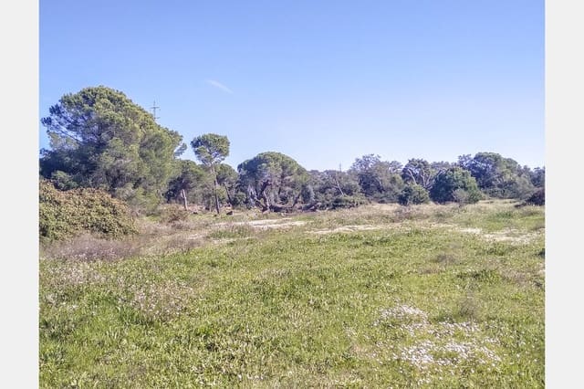 Bouwgrond te koop in Villablanca - € 135.000 (Ref: 6680691)