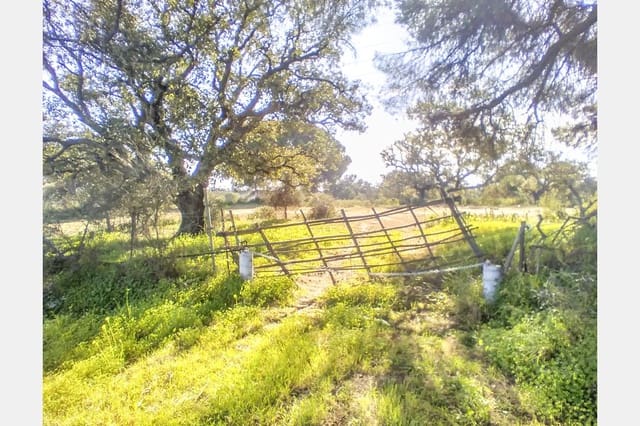 Bouwgrond te koop in Villablanca - € 135.000 (Ref: 6680691)