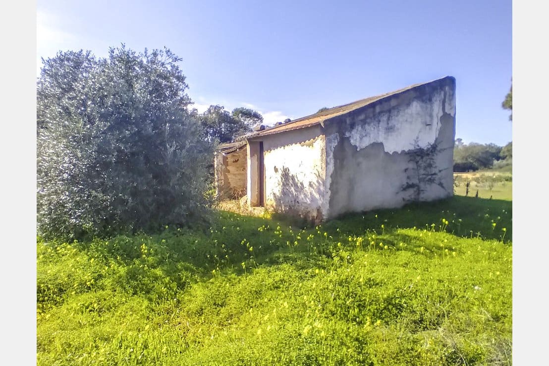 Byggegrund til salg i Villablanca - € 135.000 (Ref: 6680691)