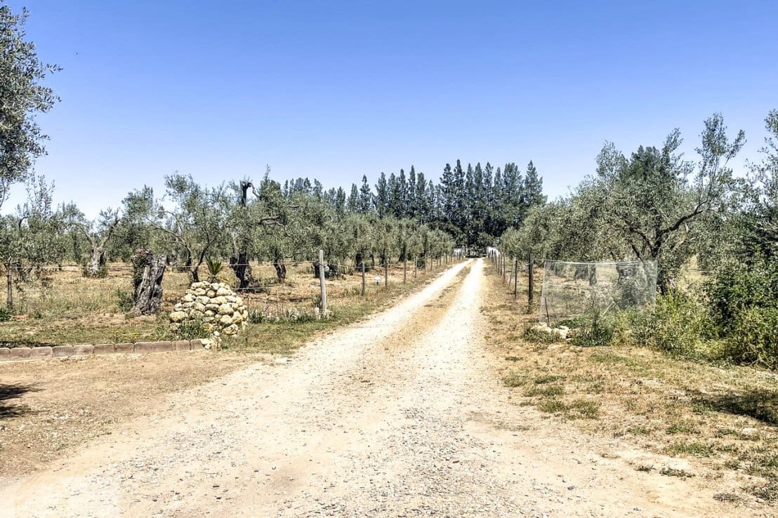 4 chambre Finca/Maison de Campagne à vendre à Almonte avec piscine - 390 000 € (Ref: 7590860)