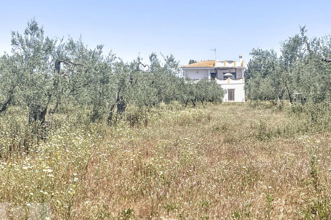 4 chambre Finca/Maison de Campagne à vendre à Almonte avec piscine - 390 000 € (Ref: 7590860)