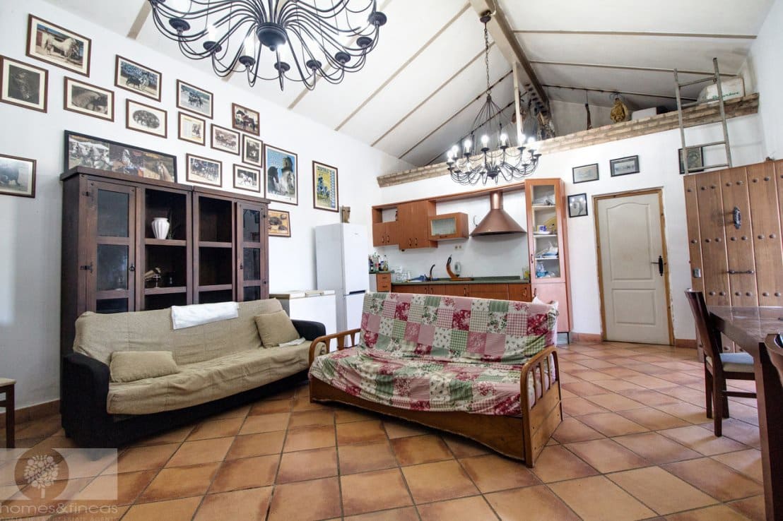 Finca/Herregård til salgs i Trigueros - € 250 000 (Ref: 8188549)