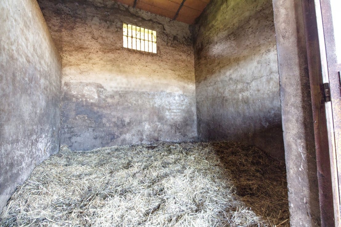 Finca/Herregård til salgs i Trigueros - € 250 000 (Ref: 8188549)