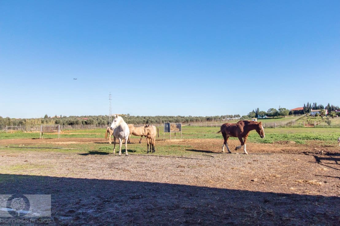 Finca/Herregård til salgs i Trigueros - € 250 000 (Ref: 8188549)