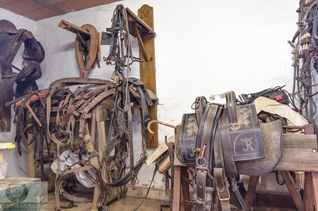 Finca/Landehus til salg i Trigueros - € 250.000 (Ref: 8188549)