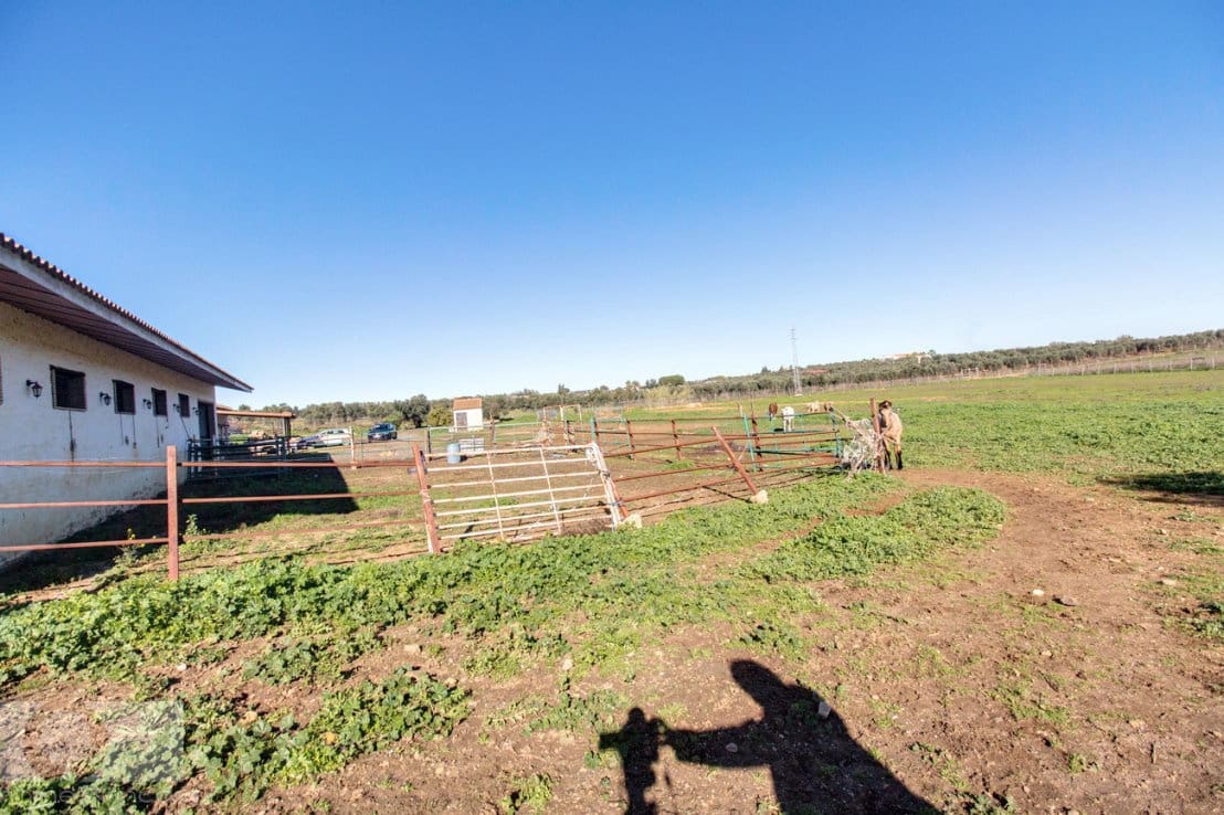 Finca/Herregård til salgs i Trigueros - € 250 000 (Ref: 8188549)