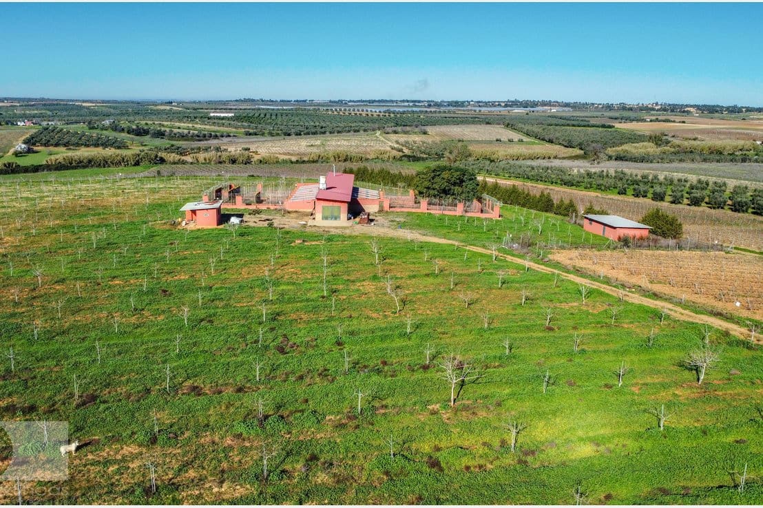 1 camera da letto Finca/Casa di Campagna in vendita in Rociana del Condado - 330.000 € (Rif: 8188567)