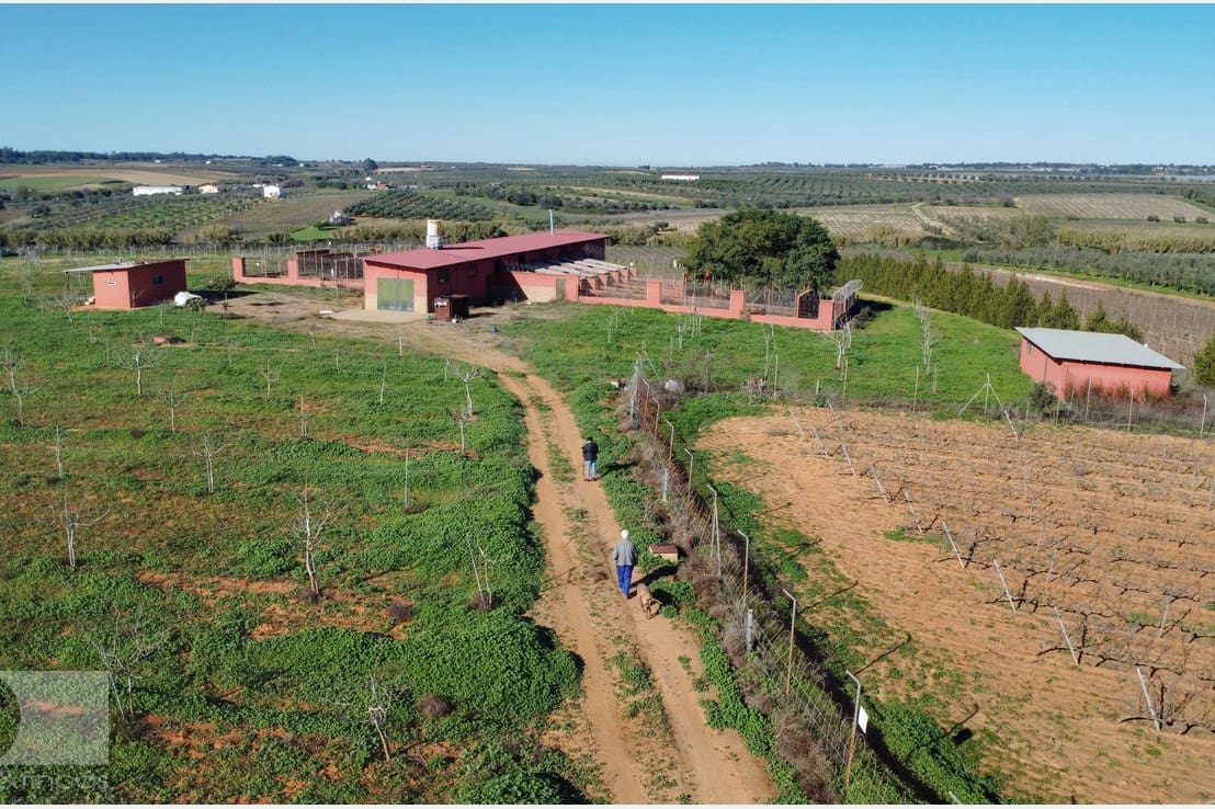 1 camera da letto Finca/Casa di Campagna in vendita in Rociana del Condado - 330.000 € (Rif: 8188567)